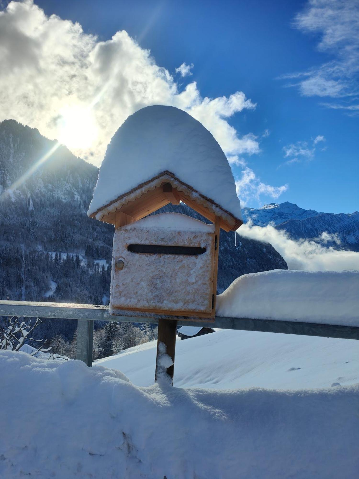 Mountain Village Room Habkern Екстер'єр фото