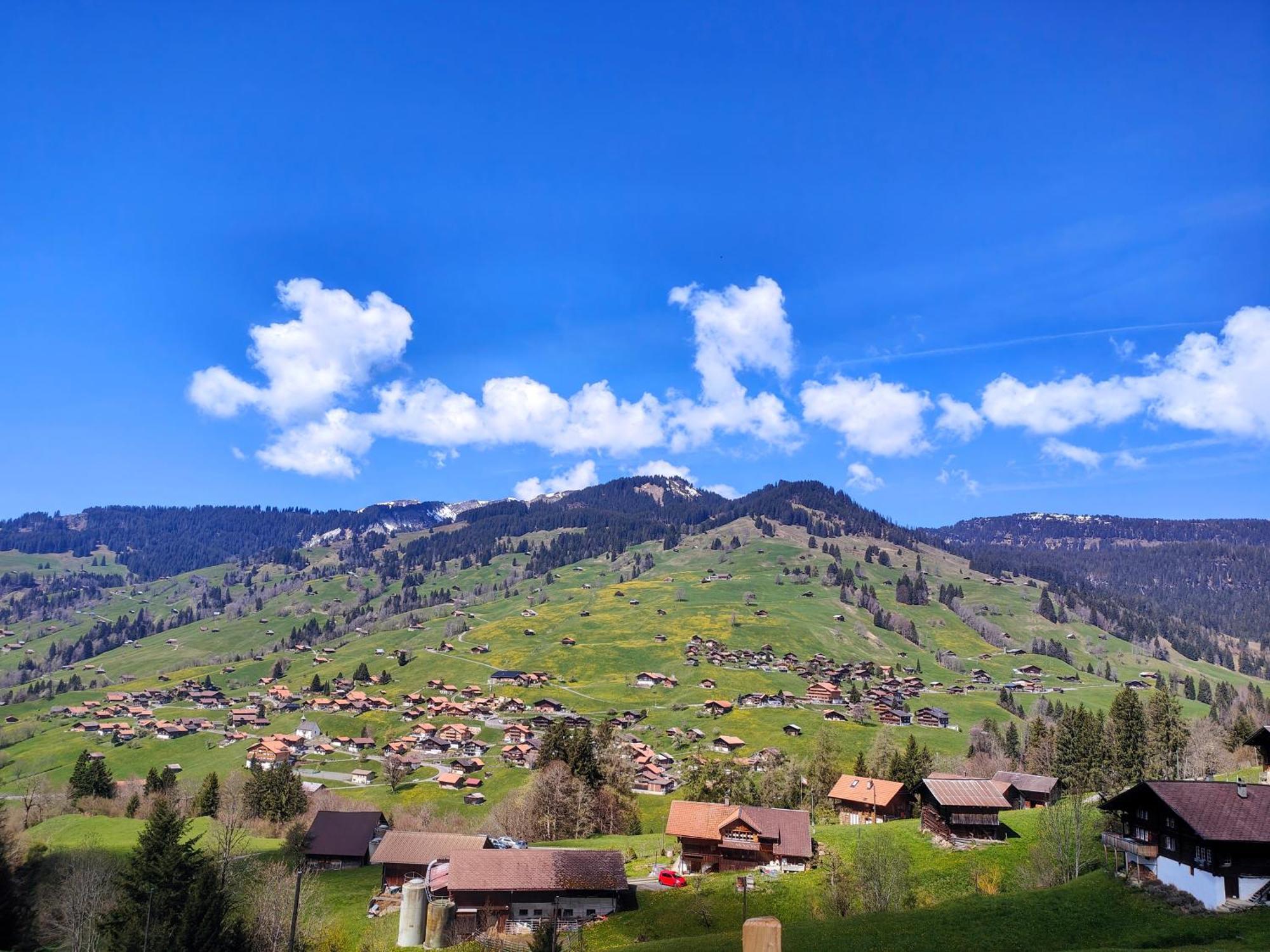 Mountain Village Room Habkern Екстер'єр фото