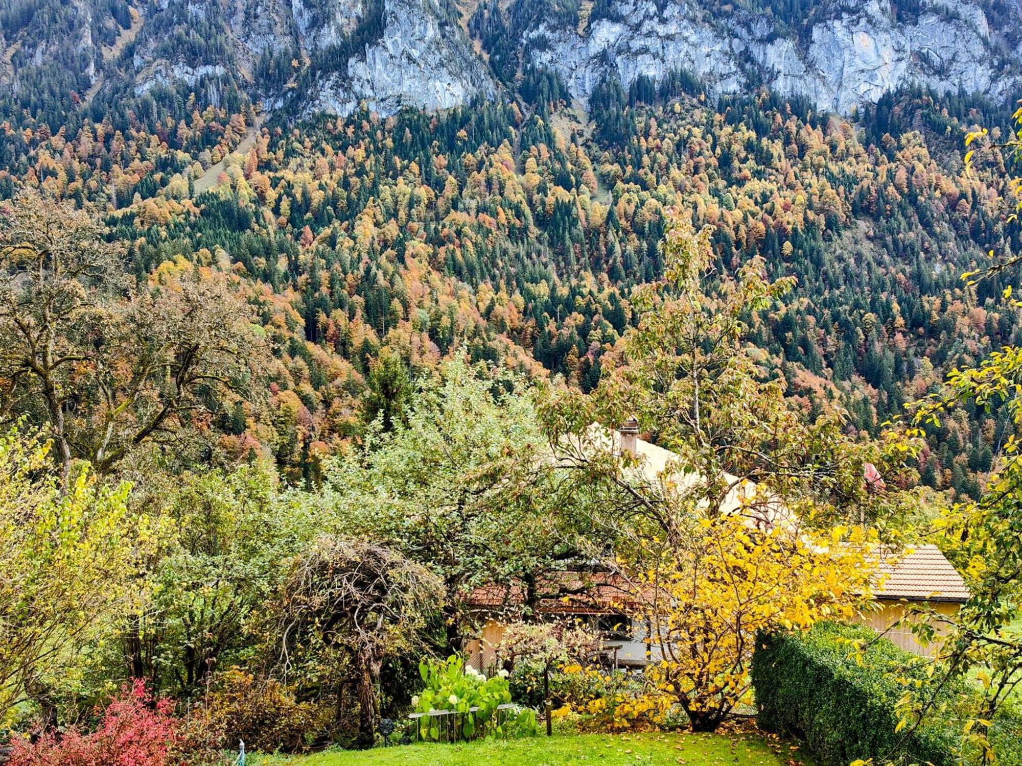Mountain Village Room Habkern Екстер'єр фото